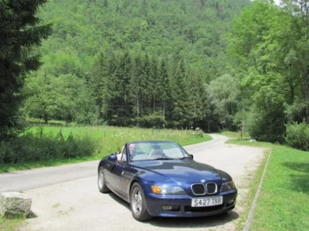 Pyrenees.webp