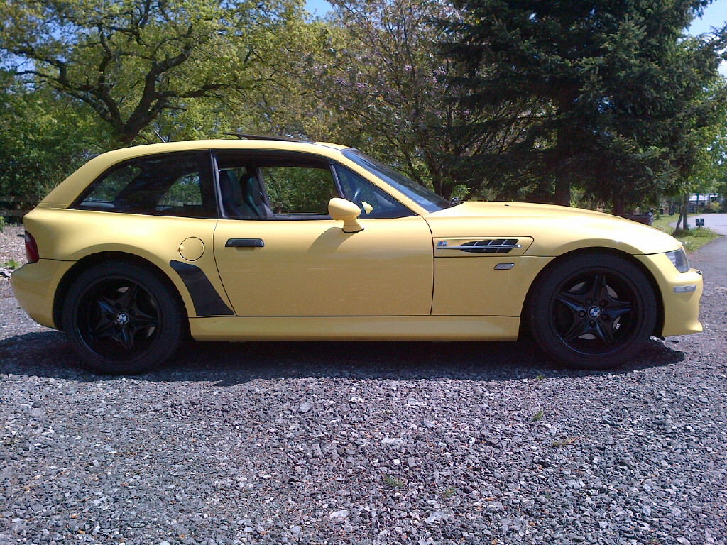 Bmw z3 stone guard #2