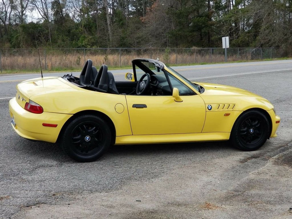 Z3 YB.jpg