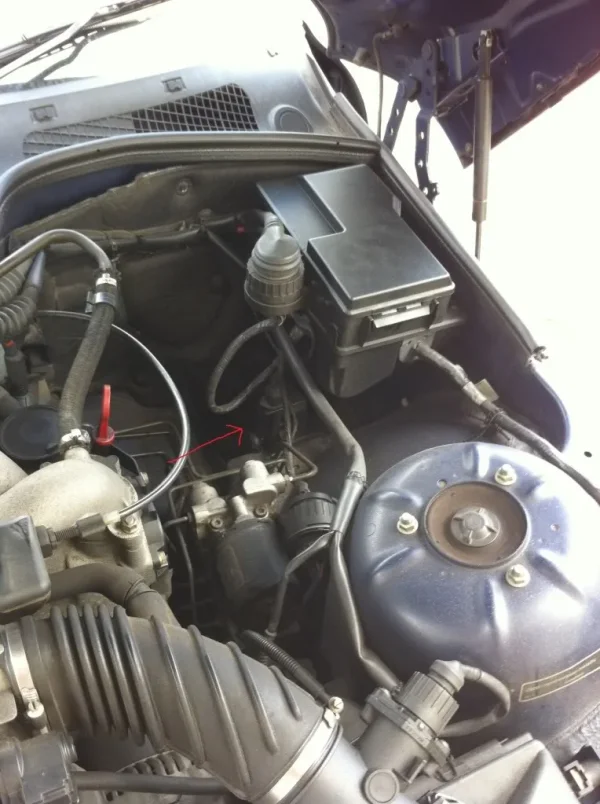 image_2.webp