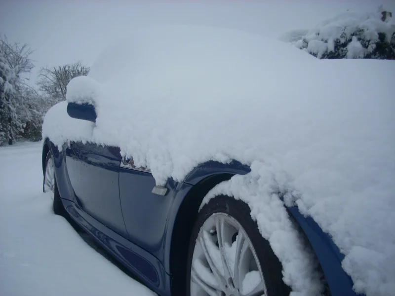 9_Feb12_RodsZ3.webp