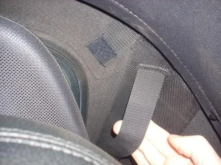 Straps.webp
