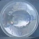Headlight.webp