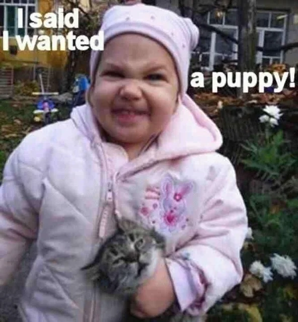 ImageUploadedByTapatalk1335218852.111073.webp