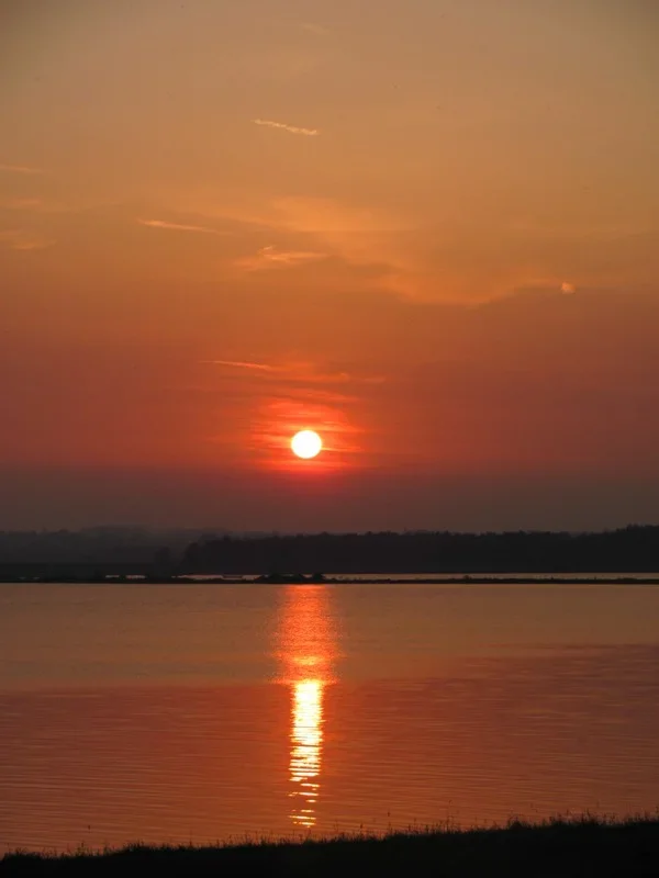 2012 05 24_4531.webp