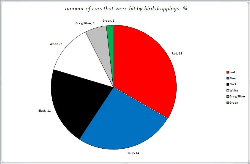 bird poo.webp