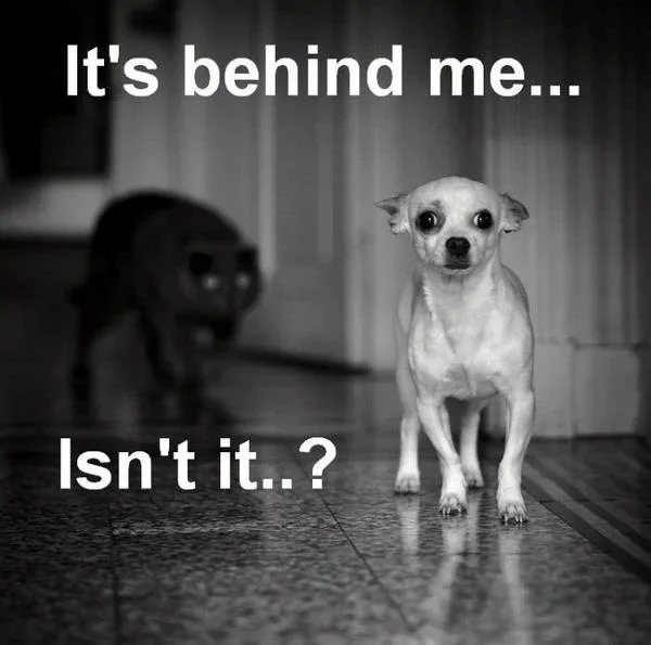 ImageUploadedByTapatalk1340474096.926886.webp