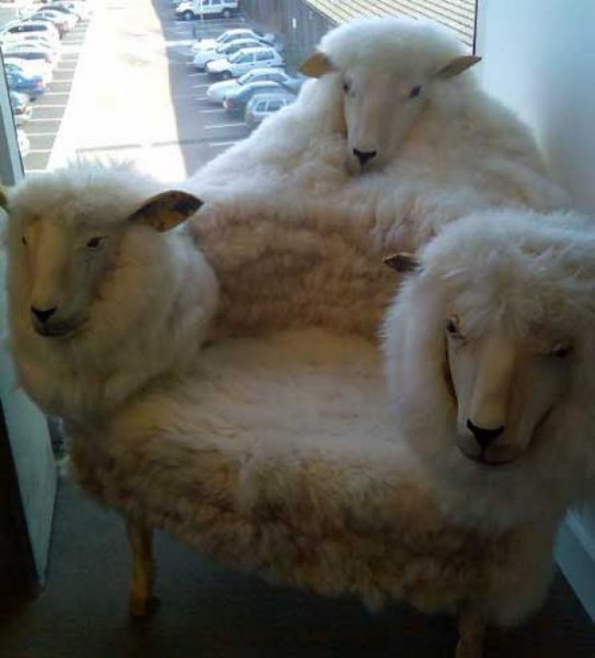 2fc872b1eda1e56c7f444e9cc1c66dc8-creepy-sheep-chair.jpg