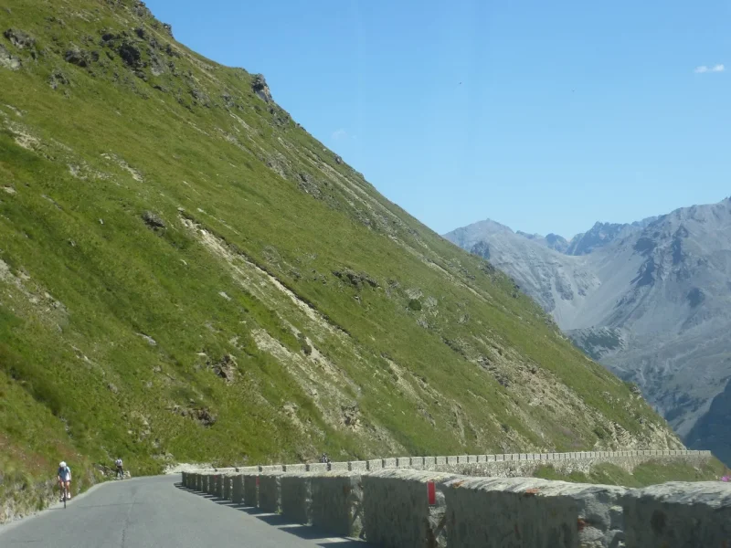 P1000287.webp
