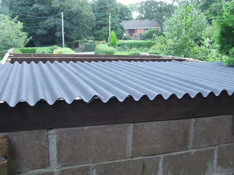 DSCF8351.webp