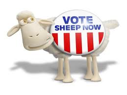vote sheep.jpg