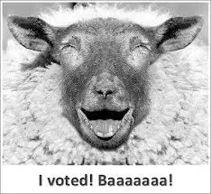i voted.webp