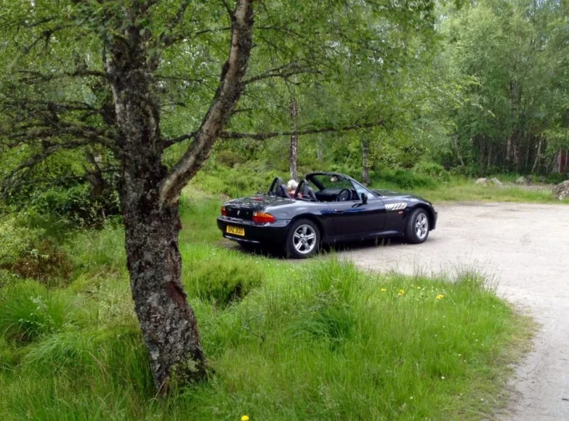 Screenshot_20190709-001307_Photos.webp Screenshot_20190709-001307_Photos.webp