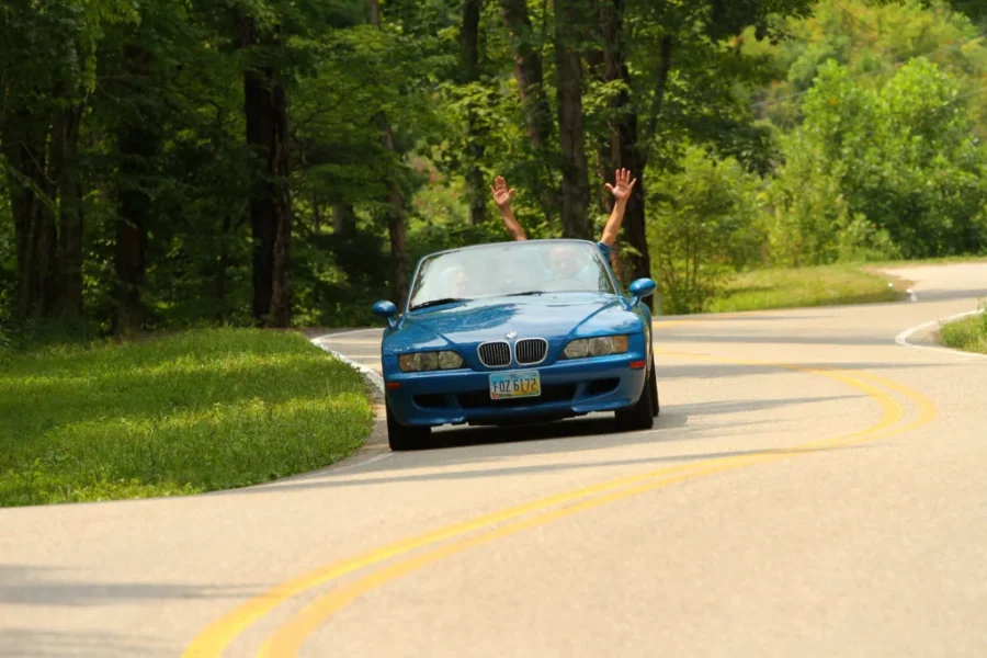 TOTD212515.webp