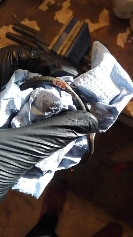 IMG-20190908-WA0001.webp