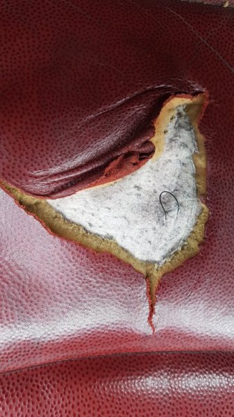 BMW leather.jpg