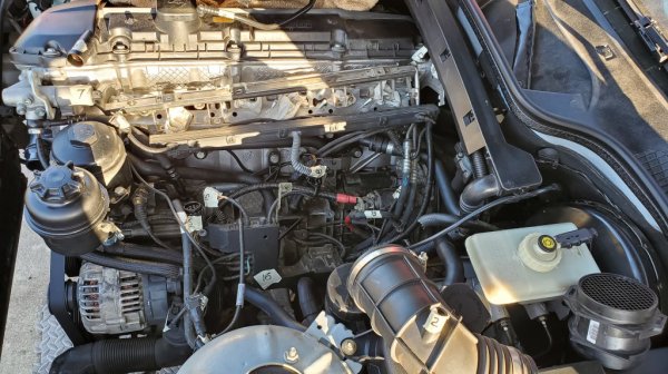 M52TU Engine Bay - No Manifold.jpg