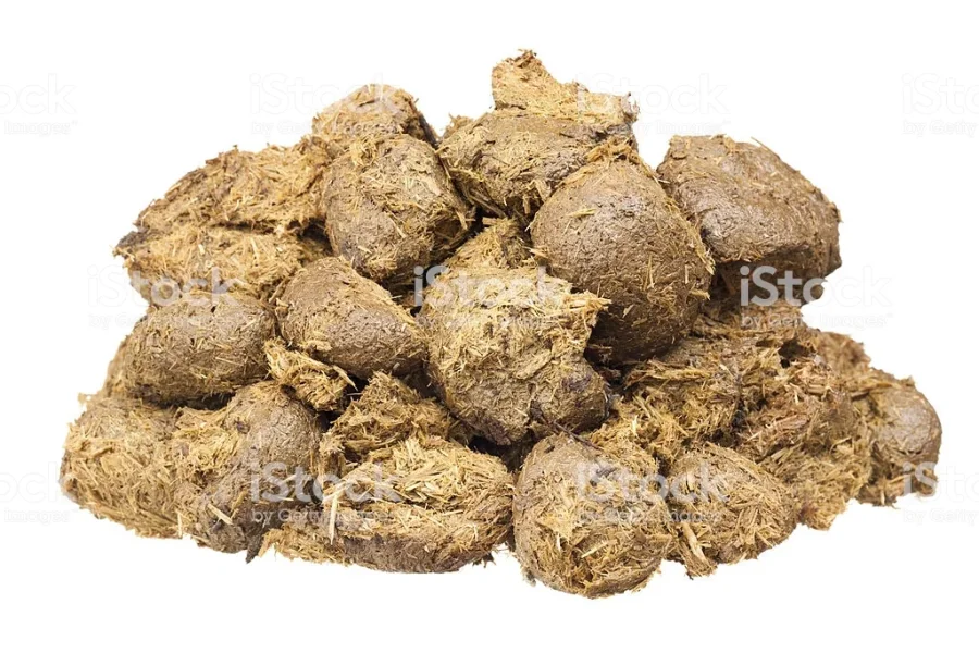 istockphoto-174988637-1024x1024.webp istockphoto-174988637-1024x1024.webp