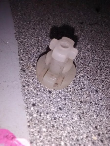 IMG_20200107_112410594.jpg