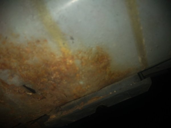 IMG_20200204_192820082.jpg