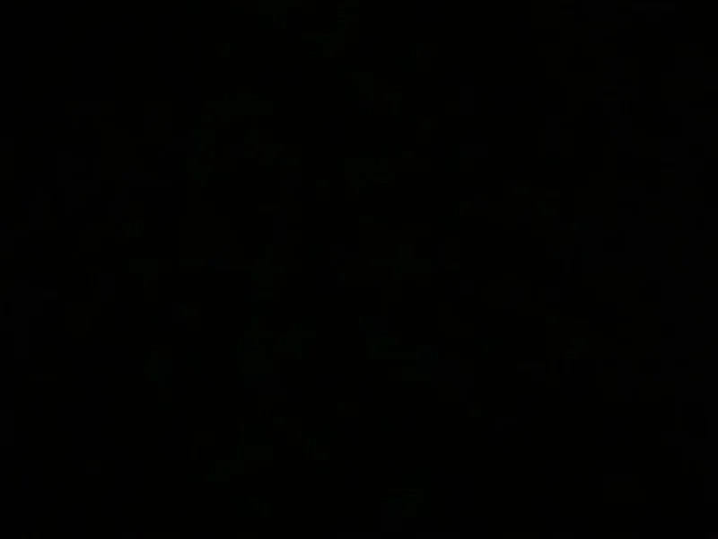 20200209_172346.webp