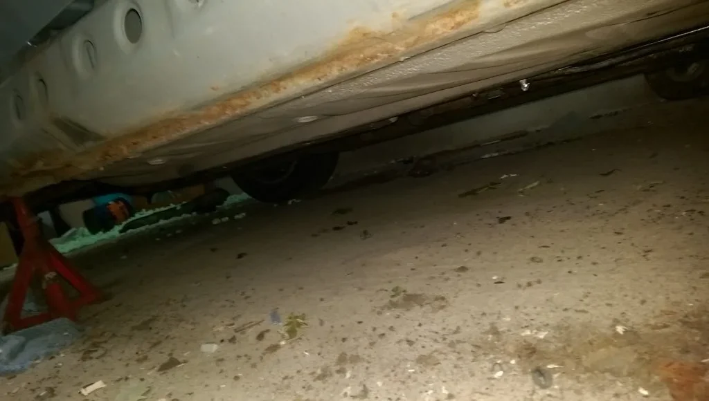 IMAG0088.webp