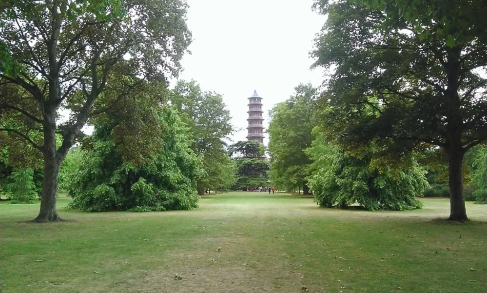 WP_20150613_010.webp