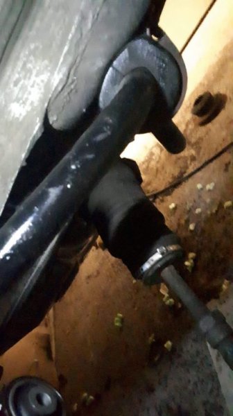 received_397619318031291.jpeg