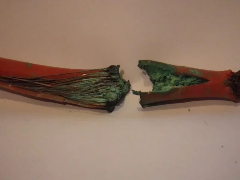 DSCF1226.webp