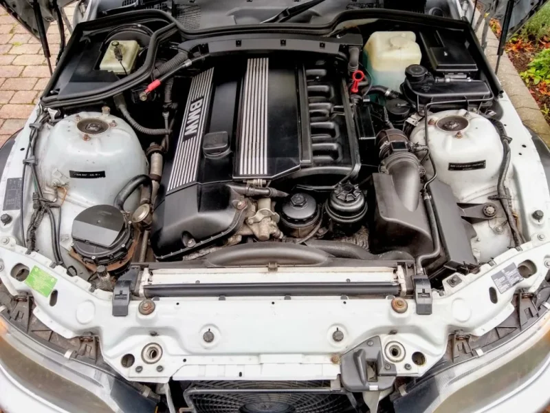 IMG_20201001_122838263_HDR.webp