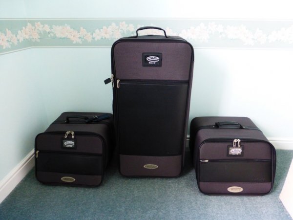 P1000520luggage2.JPG