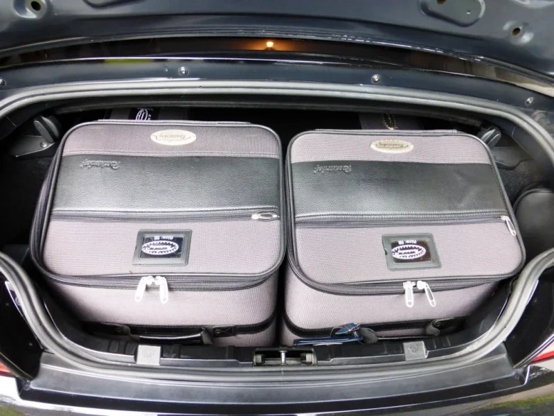 P1000525luggage1.webp