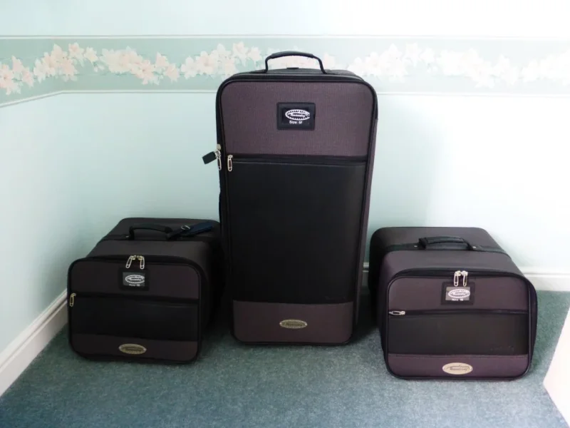 P1000520luggage2.webp