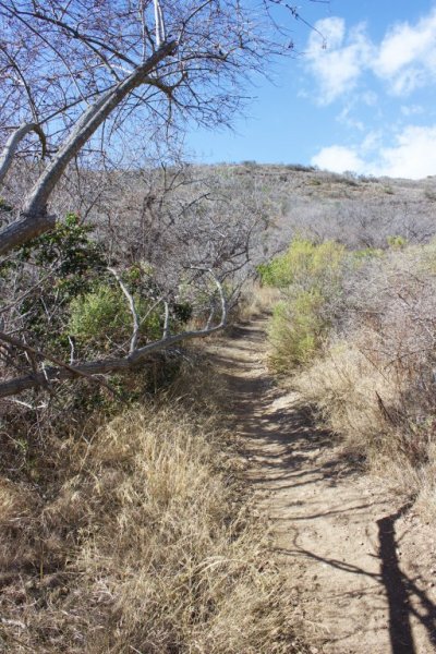 Trail2.jpg