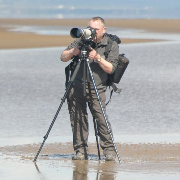 On the beach.jpg