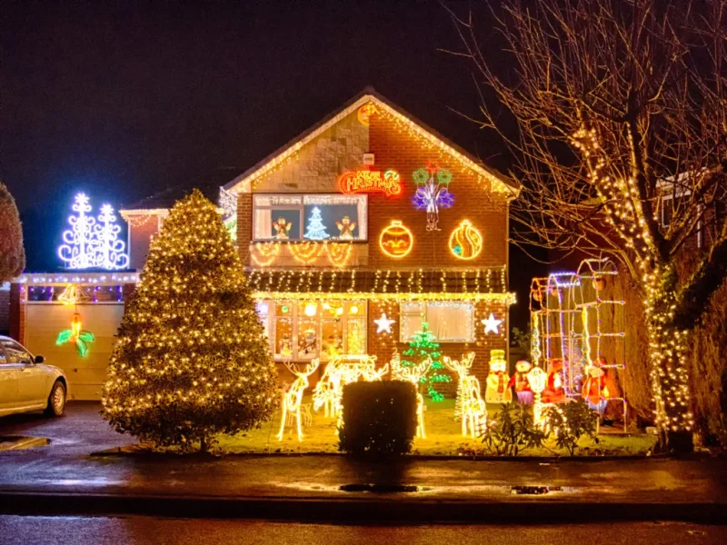 Christmas lights.webp