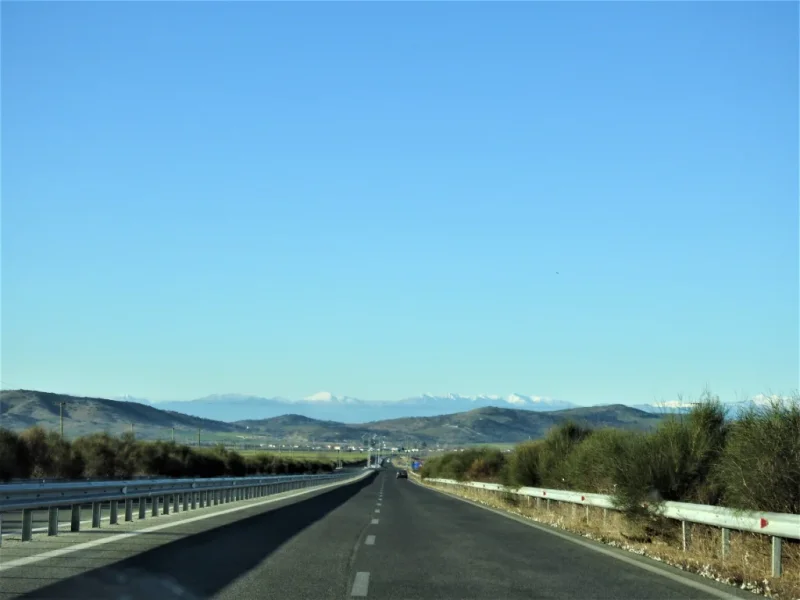 2B38F972-873C-49D3-9D3D-BEC709EA556F.webp
