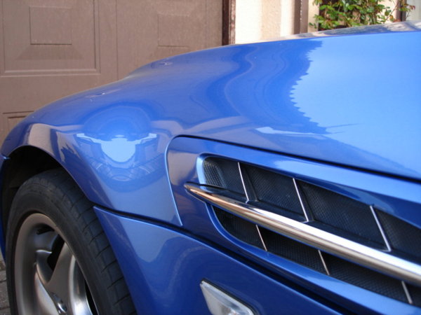 Camera back up pics (85).JPG