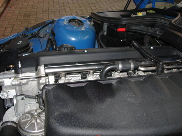 Camera back up pics (90).JPG