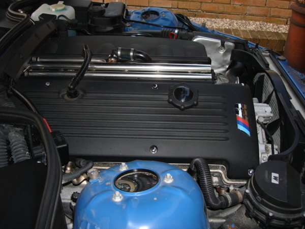 Camera back up pics (93).JPG