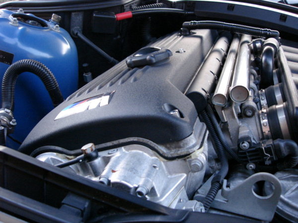 Camera back up pics (101).JPG