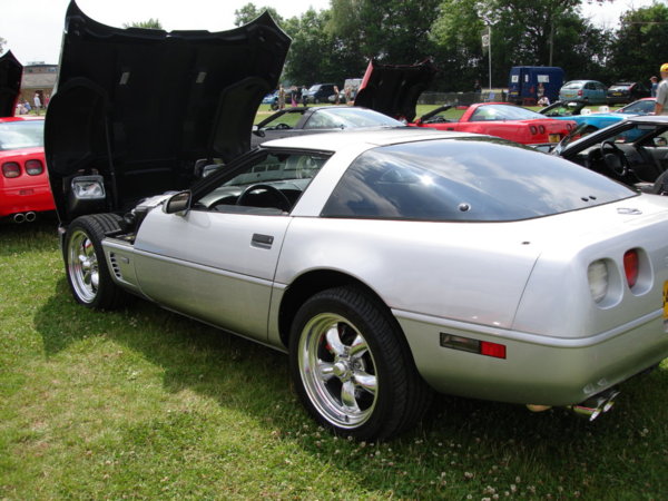 Camera back up pics (36).JPG