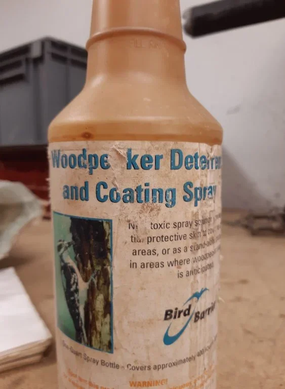 WOODPECKER .webp