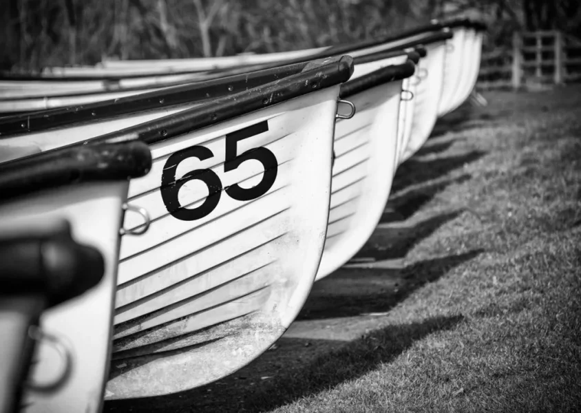 Row Boats.webp