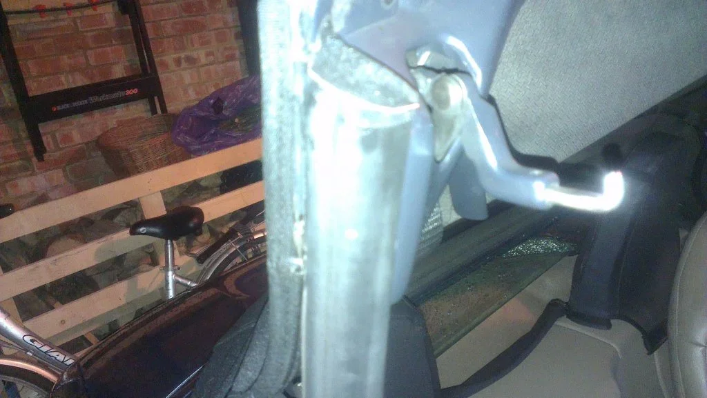 IMAG0239.webp IMAG0239.webp