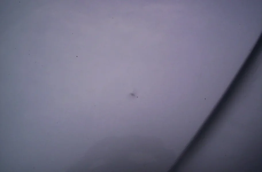 000_3546[1].webp