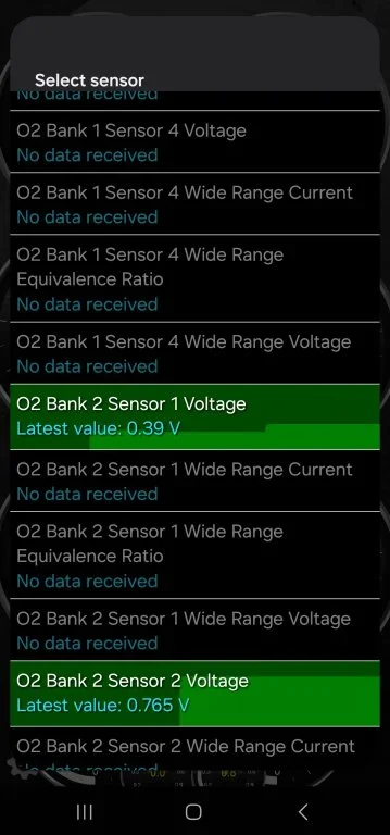 Screenshot_20240624_213216_Torque.webp