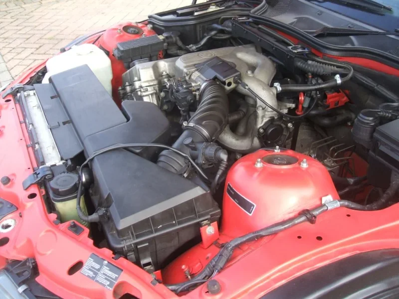 DSCF5446.webp