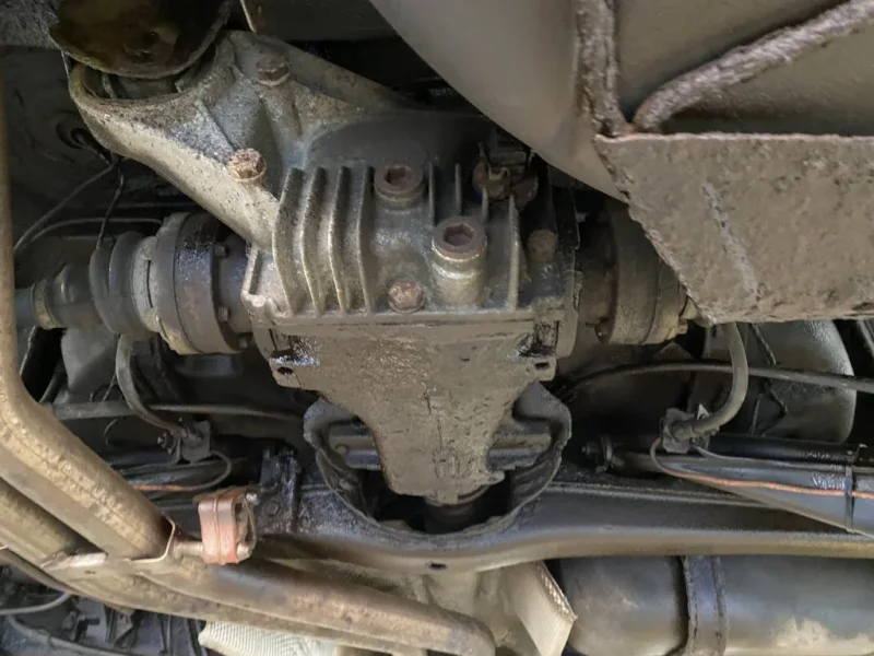 IMG_4655.webp