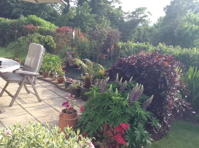 Garden 2.webp